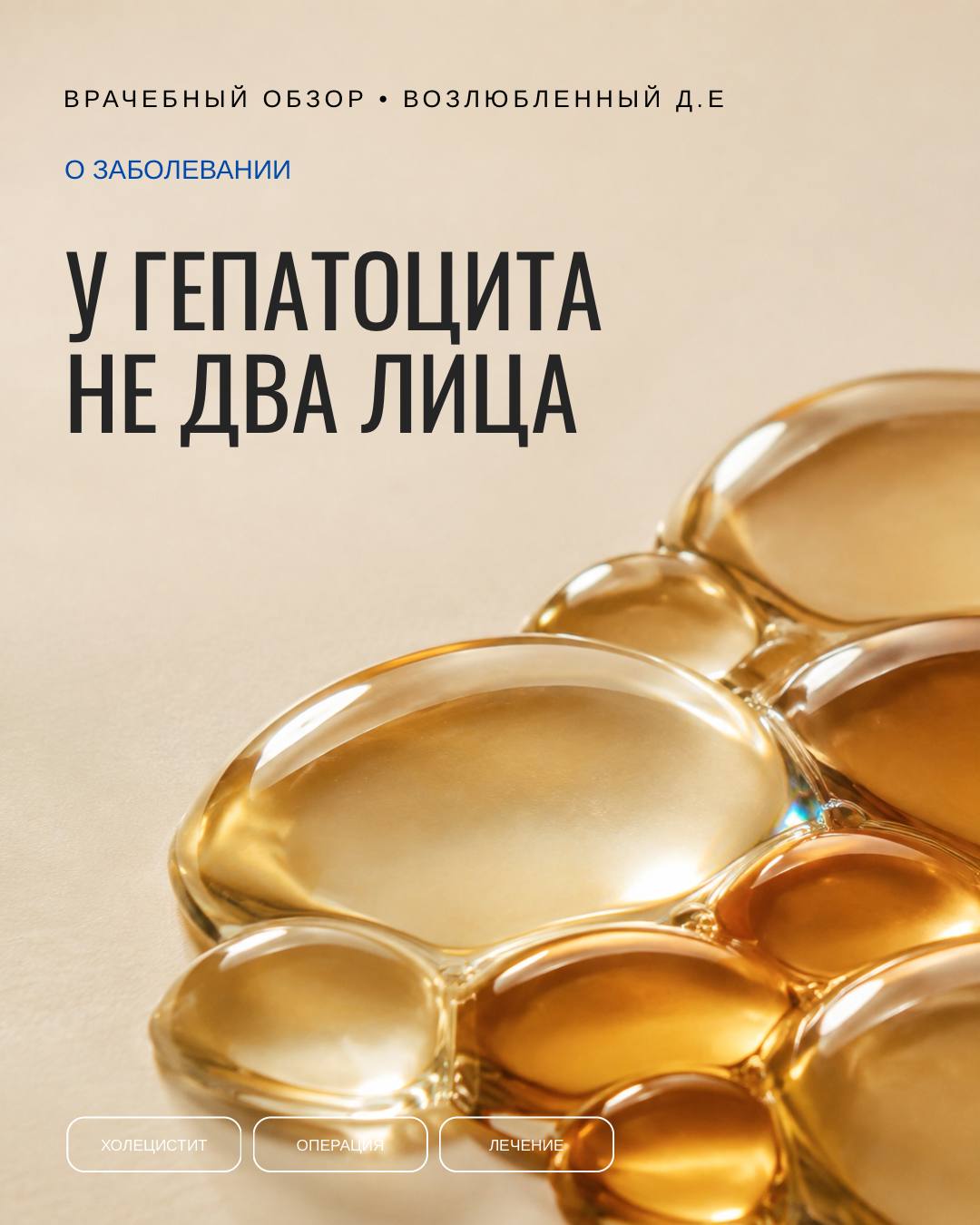 Гепатоцит: не два полюса, а сеть