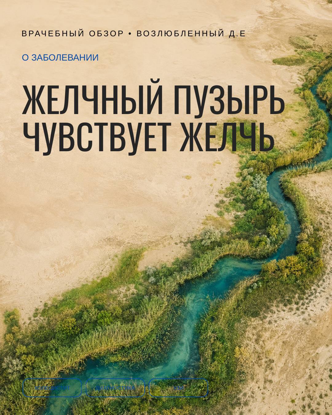 Ваш желчный пузырь умеет пробовать желчь на вкус